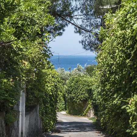 Gasthuis La Magnolia Castellabate