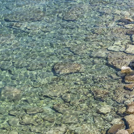 La Magnolia Gasthuis