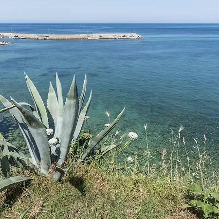 招待所 La Magnolia